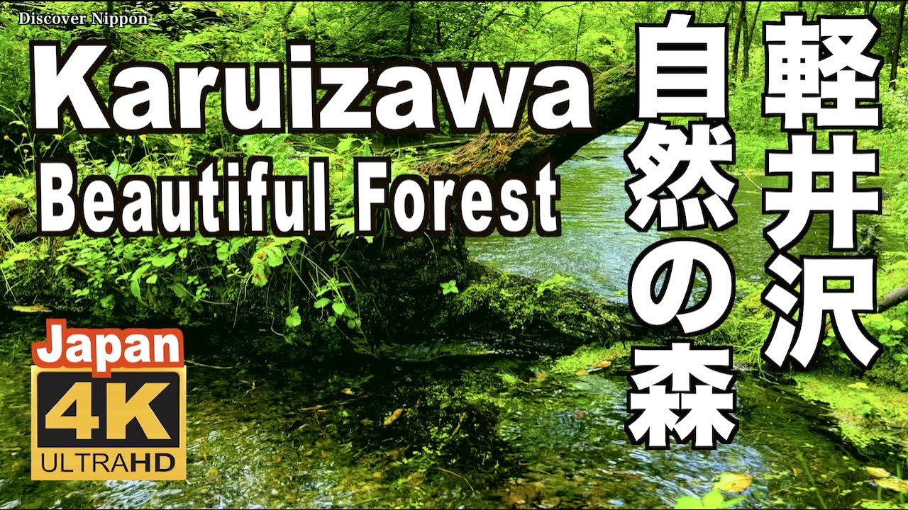 4K 軽井沢の自然の森 せせらぎの音 鳥の声 Karuizawa forest 観光 旅行 新緑 リラックス Nature Walks Water River waterfall  Japan  滝
