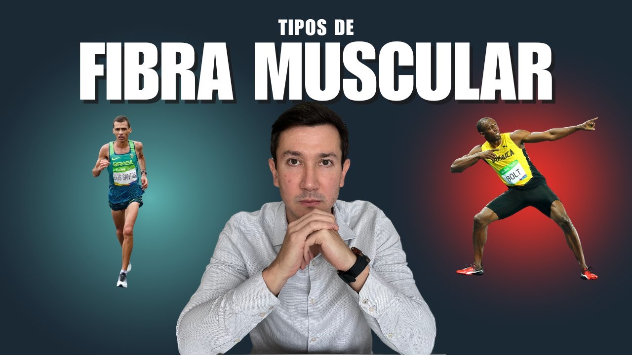 Tudo Sobre Fibras Musculares – Do Básico ao Avançado