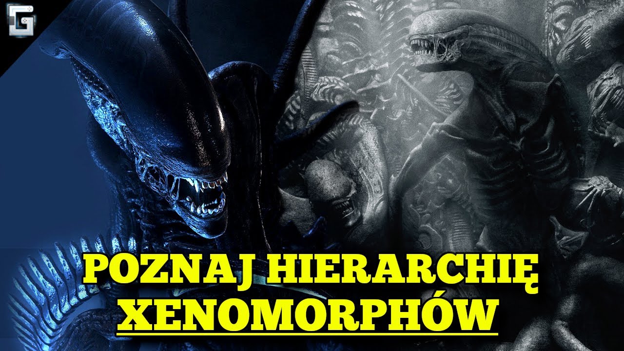 Jak wygląda Hierarchia Obcych?