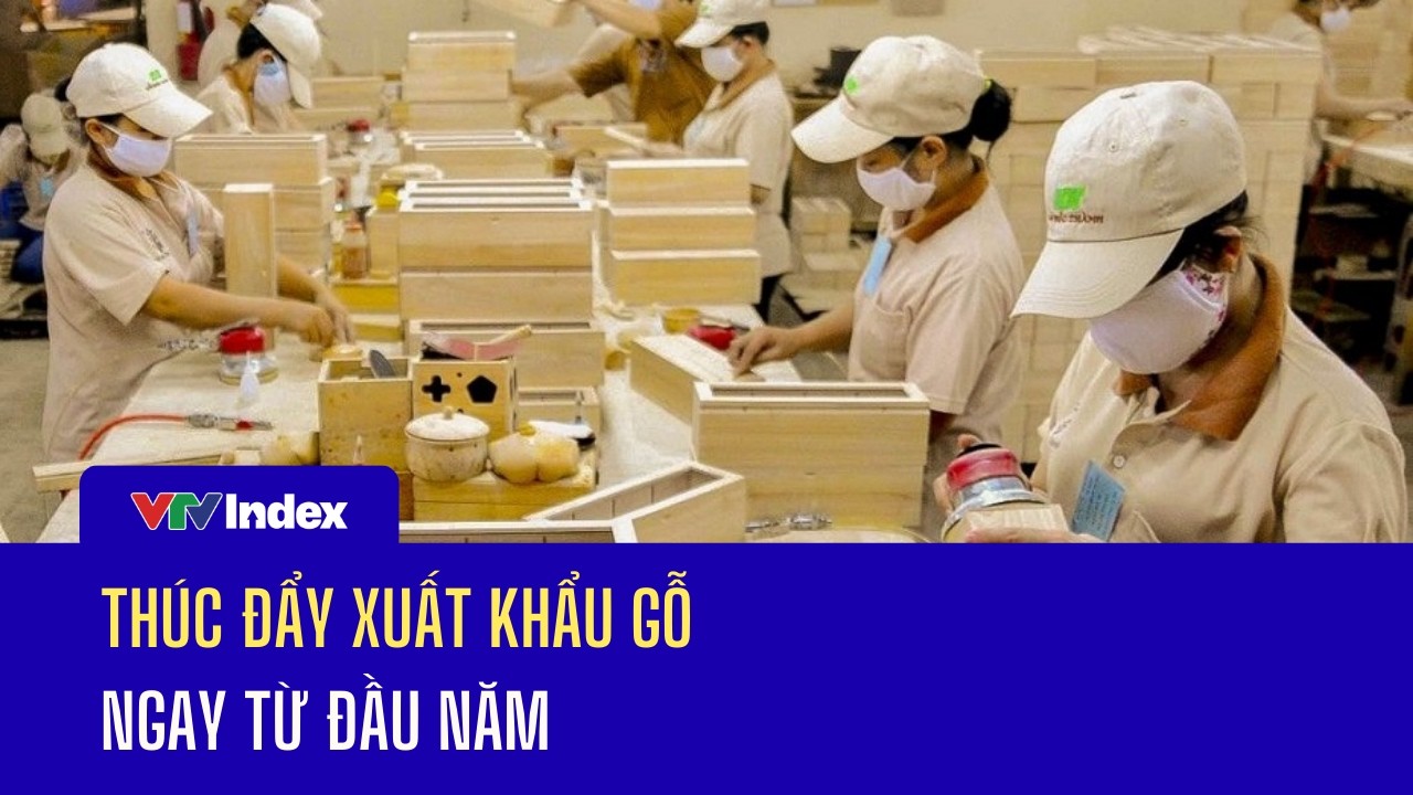 Thúc đẩy xuất khẩu gỗ ngay từ đầu năm | VTVIndex
