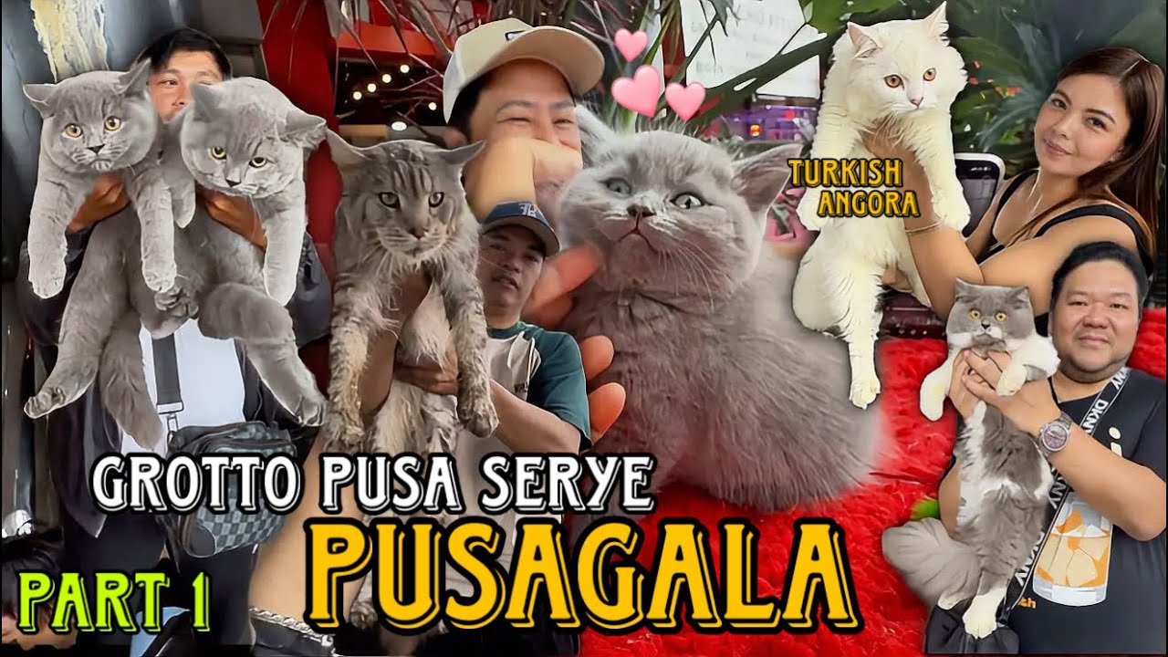 MALULUPIT NA PUSA NGAYON/part 1 /GROTTO PET MARKET BULACAN/FEBRUARY 8 2026/