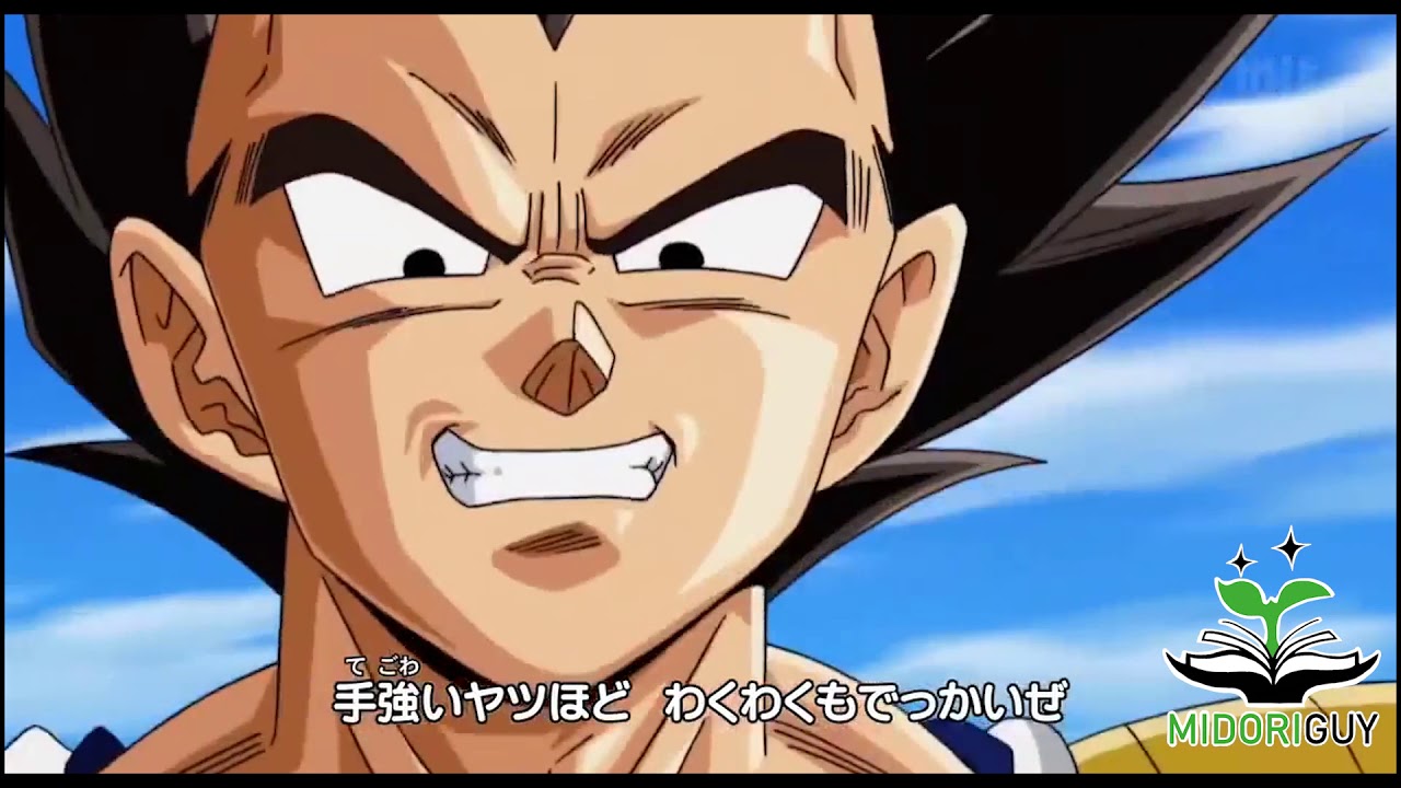 AMV Dragon Ball- We Are Remix (One Piece Opening 10)