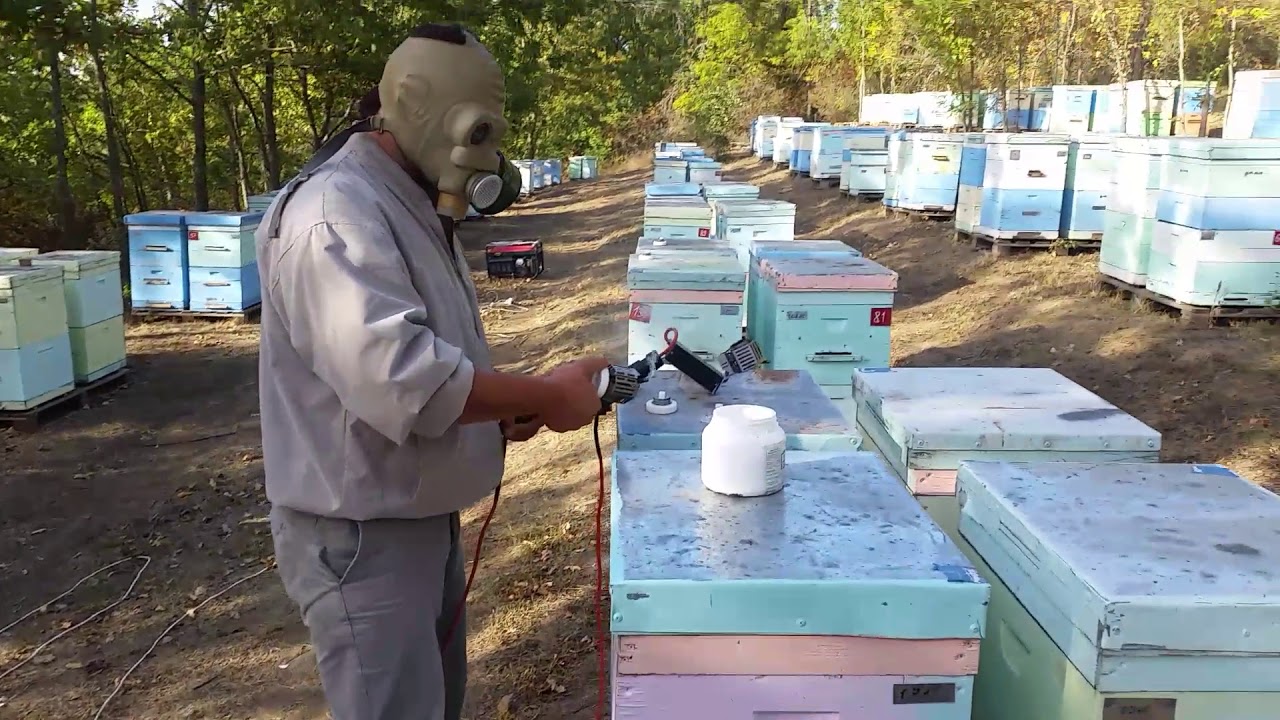 ПЧЕЛОВОДСВО 