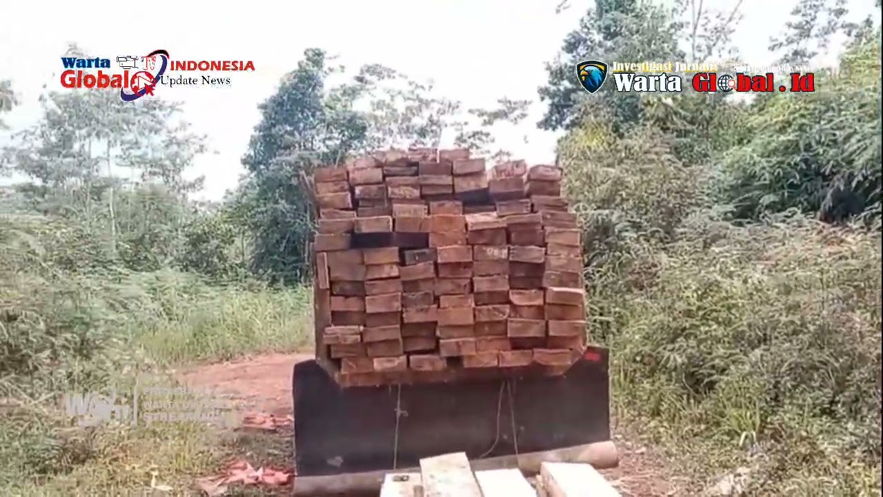 Penebangan Ilegal Marak di Routa–Pondoa, Kades Lallomerui Akui Kayu Hutan Mengalir ke Morowali.