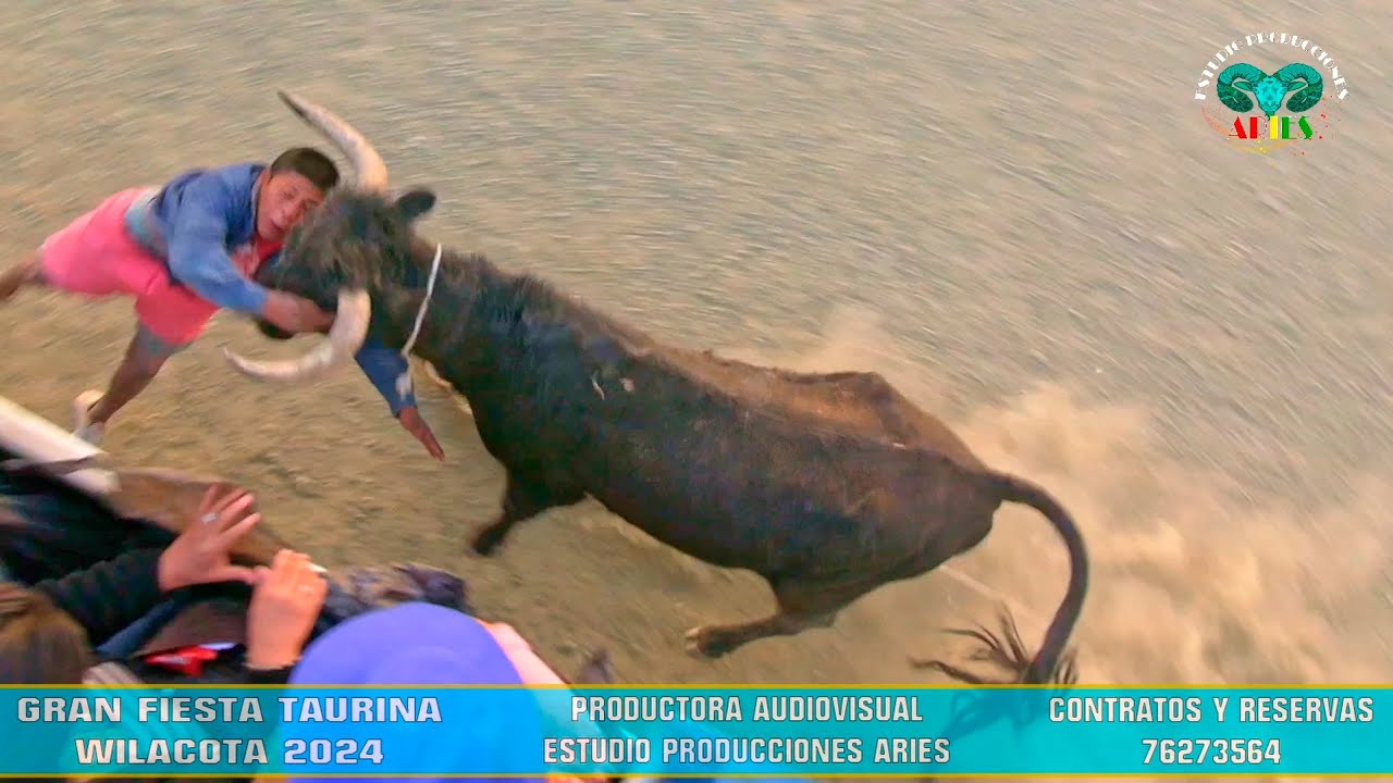 GRAN FIESTA TAURINA WILACOTA || 2024