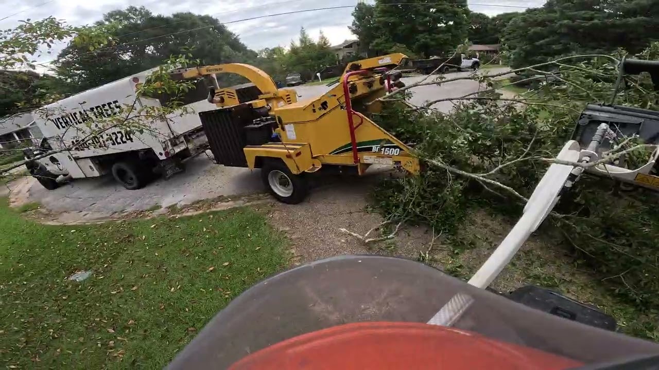 EASY OAK REMOVAL