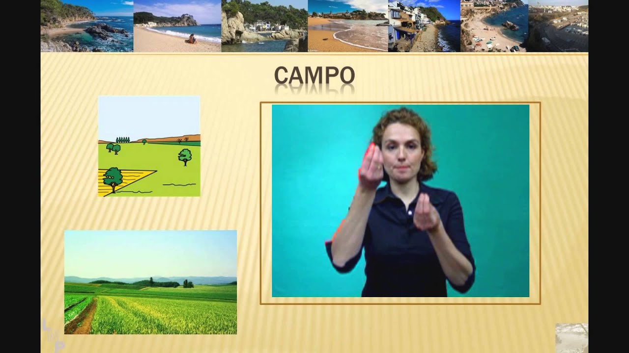 Vocabulario del verano