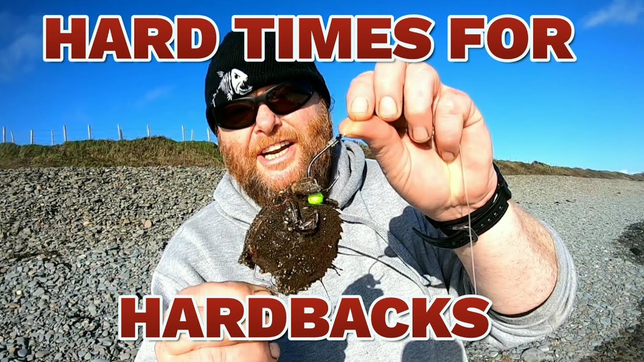 Part two of hardback crab experiment