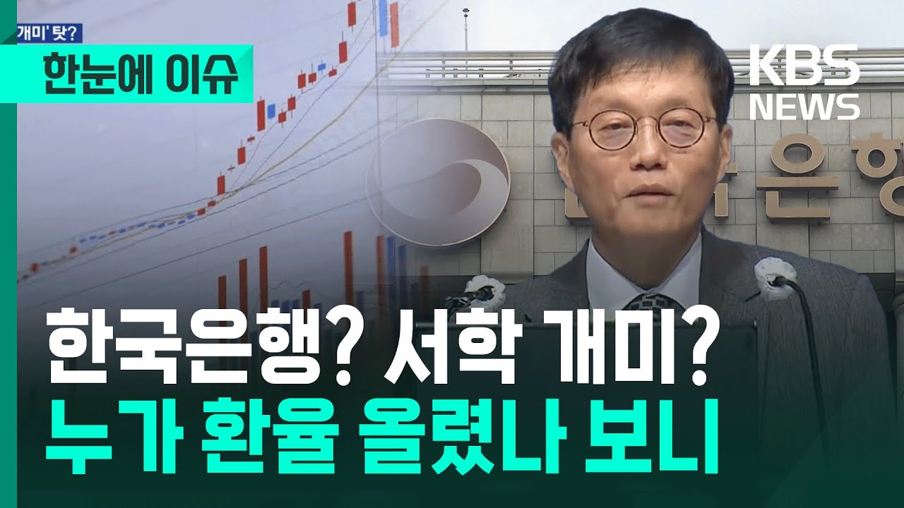 [한눈에 이슈] 한국은행? 서학 개미? 누가 환율 올렸나 보니 / KBS 2025.12.17.