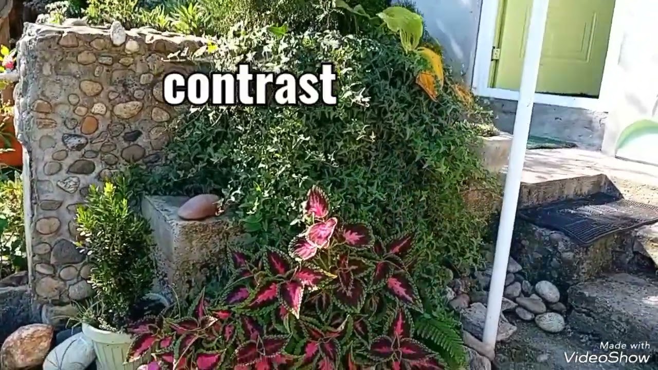 Culorile sfârșitului verii în curtea noastră...