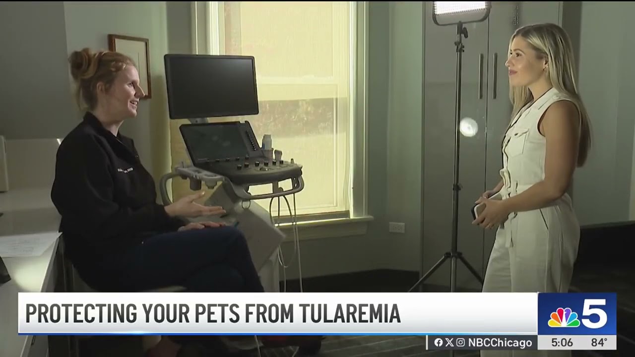 Health officials warn pet owners about bacterial disease tularemia
