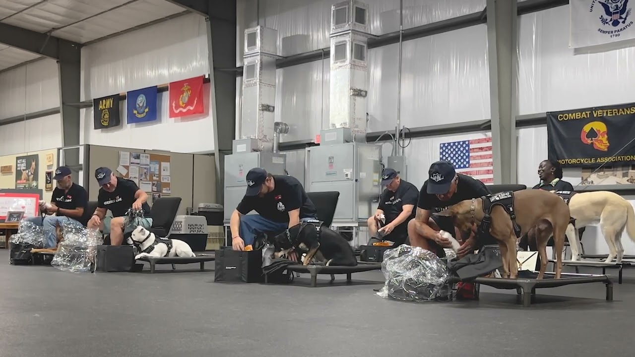 Graduation Day Veterans Unwrap Mission Complete Paks | K9 Partners for Patriots