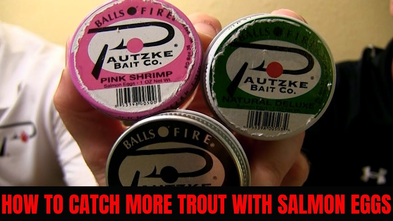 Tips to Catch More Trout With Salmon Eggs
