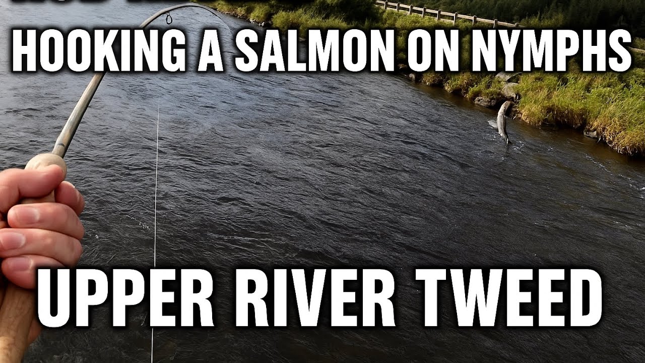 September salmon fishing//River Tweed
