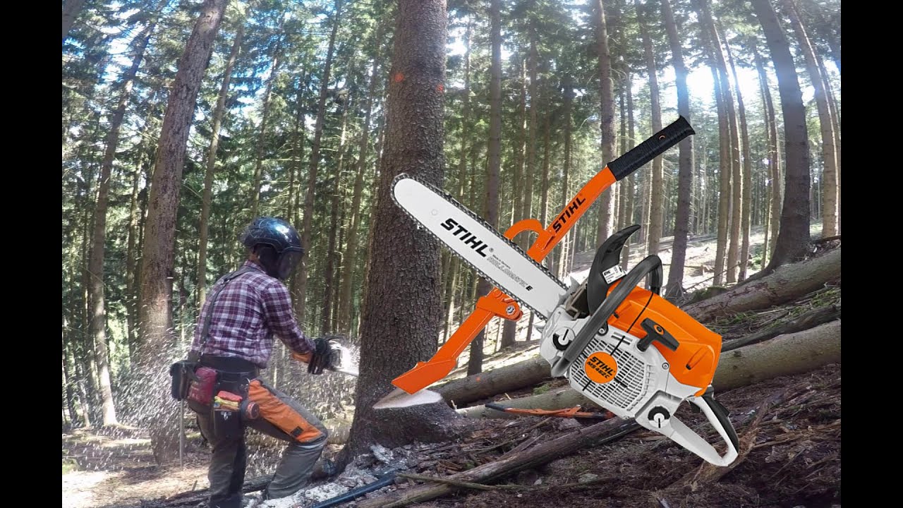 Logging | Těžba s Lopatkou | Stihl MS462C