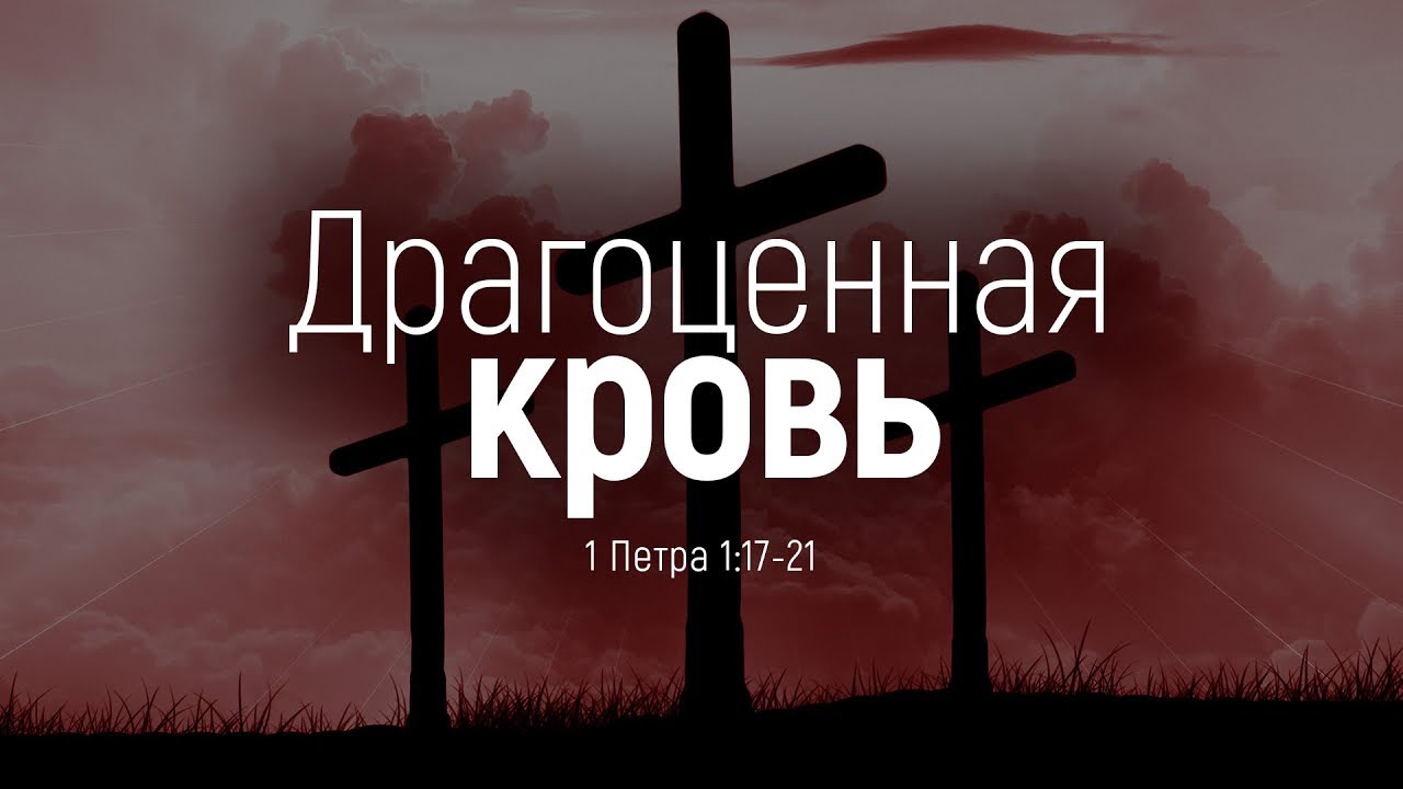Драгоценная кровь // проповедь в страстной четверг (Алексей Коломийцев)