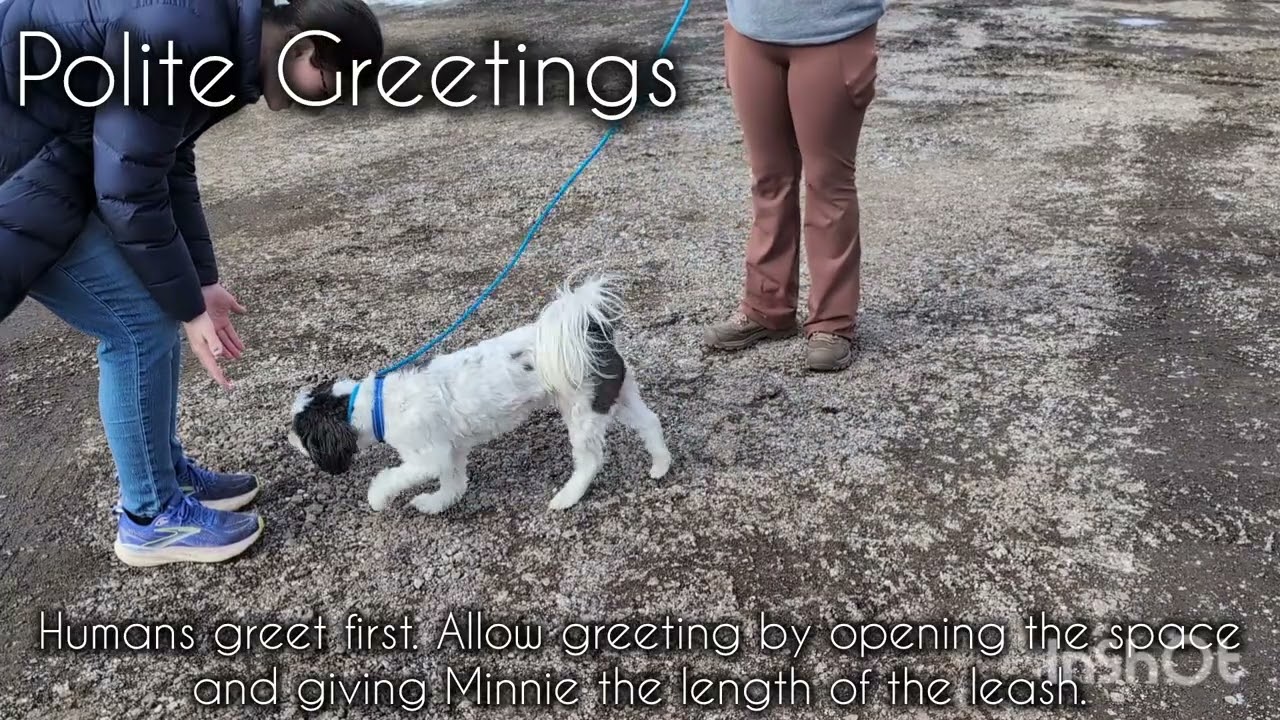 Minnie's Training Video
