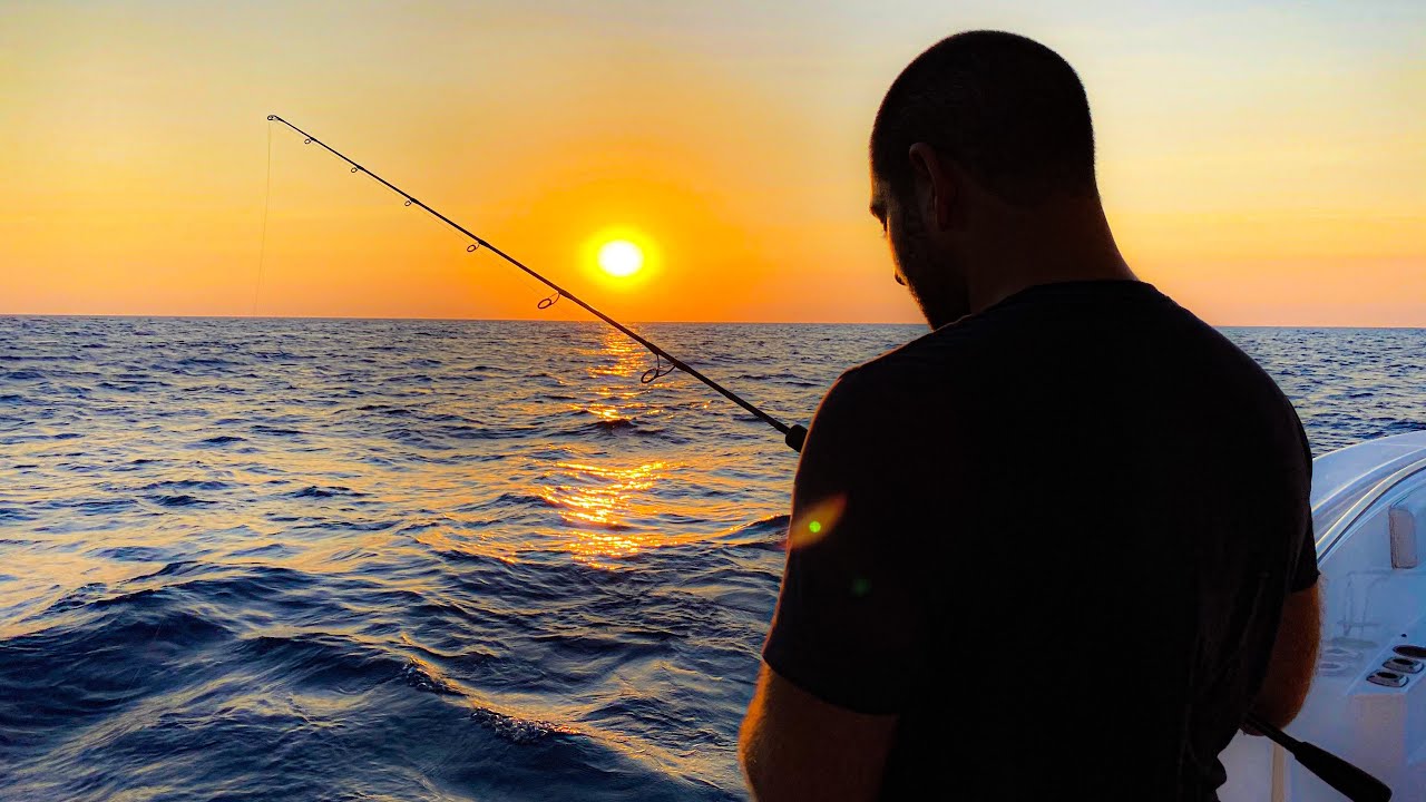 A Night of Learning: 5 Hours at Sea in Lebanon. Deep Sea, Big Fish Chase, Tuna Fishing