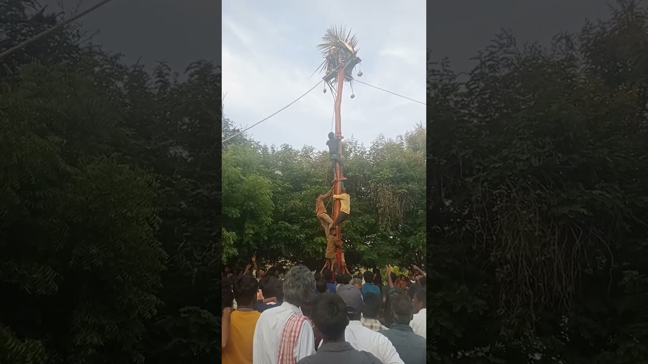 లాభాల గంగమ్మ(4)