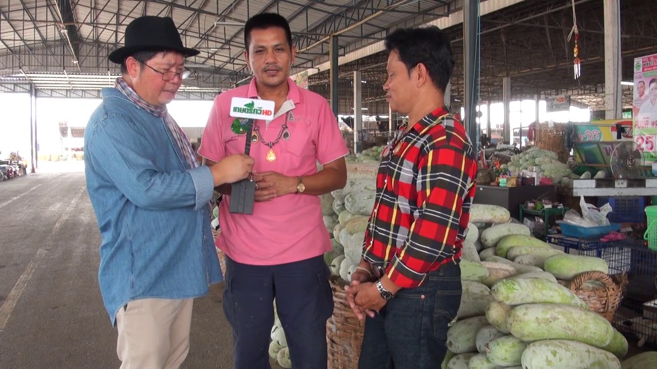 EP02 รับซื้อ-ขายปลีกส่งแฟงแก่ฟักทองโดยคุณสมบัติ พราหมณี ตลาดหนองบ้วย ท่ายาง เพชรบุรี