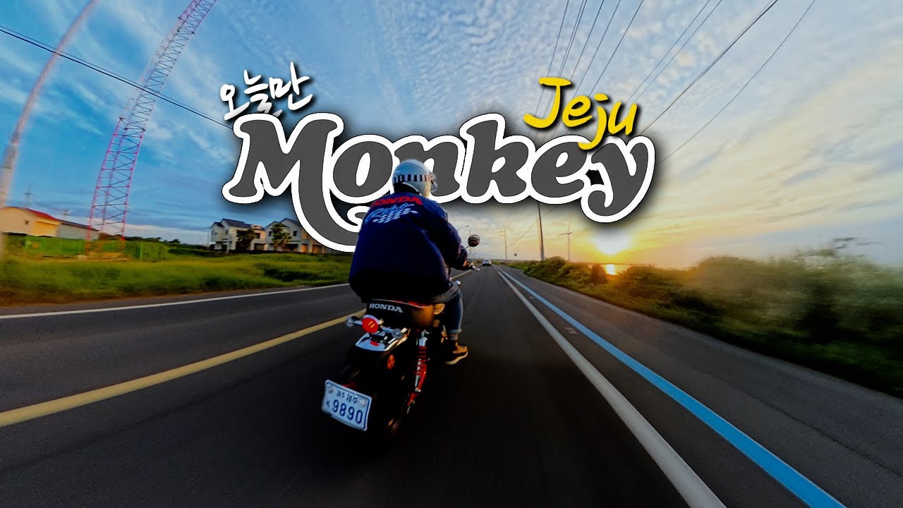 제주도 귤빛 선셋 라이딩 | 오늘만 Monkey와