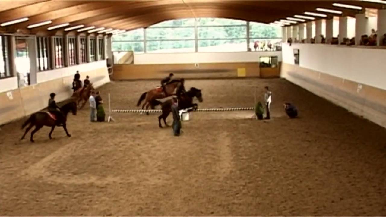 Springquadrille