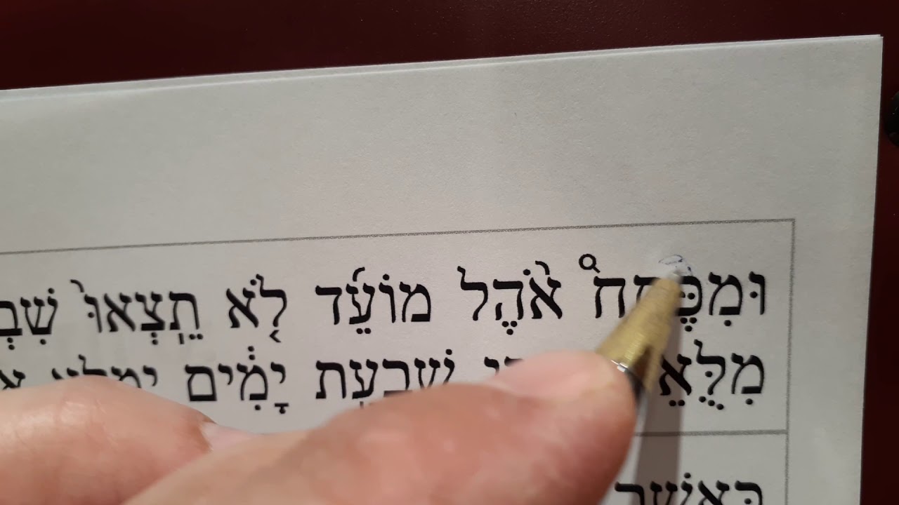 Torah reading made easy - Lesson 5 - Telisha ketana, Telisha gedola