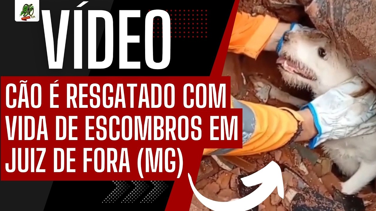 CÃO É RESGATADO COM VIDA DE ESCOMBROS EM JUIZ DE FORA (MG)