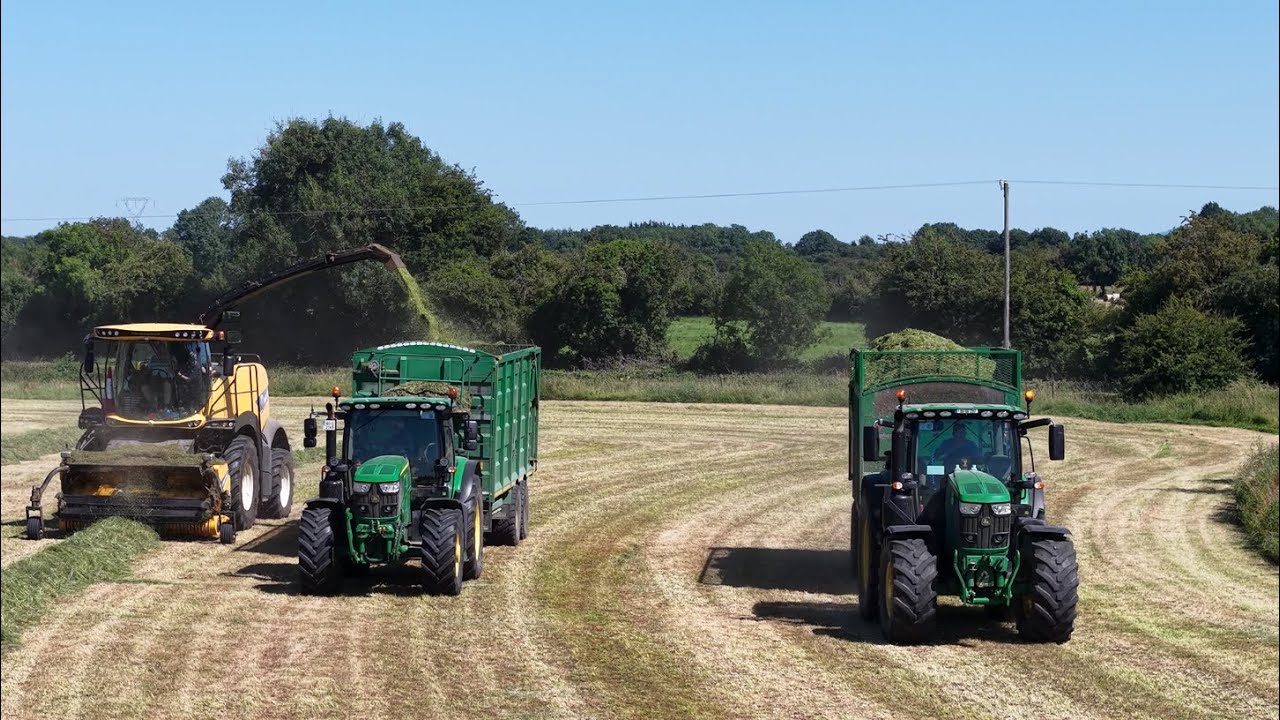 MORAN AGRI AND PLANT  ~ SILAGE 2025