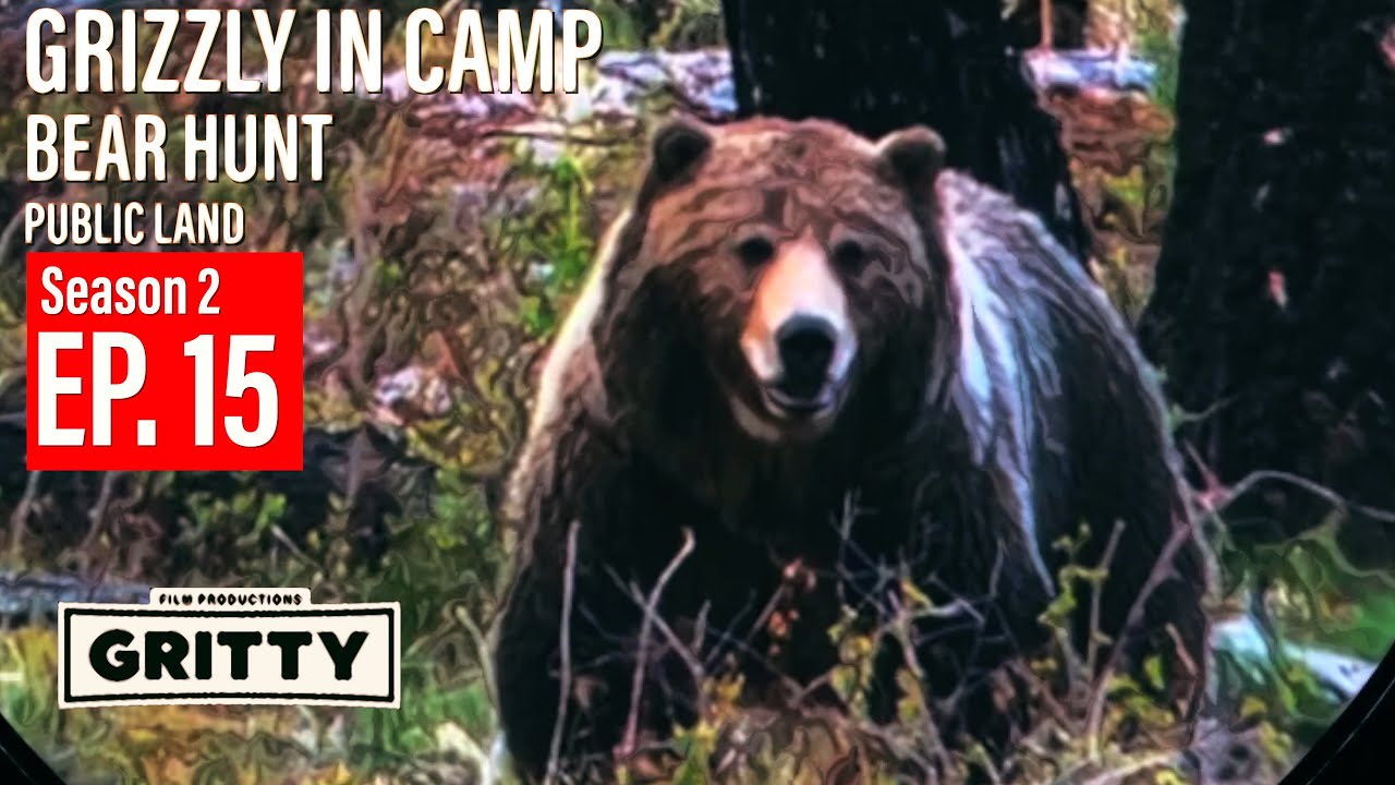 SEASON 2 | EP 15 | GRIZZLY BEAR IN LLAMA CAMP! | BEAR HUNT | 🎬 GRITTY 4K FILM