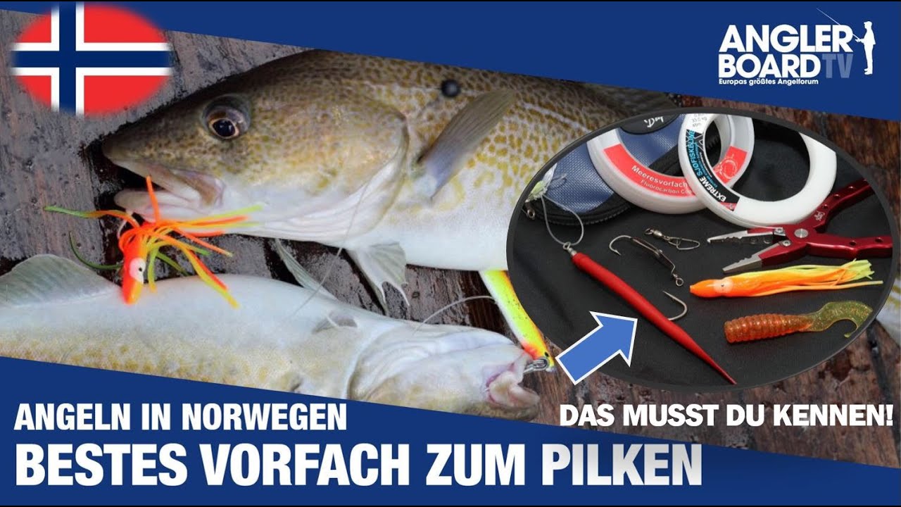 BESTES Pilkvorfach f&uuml;r Norwegen und das Gelbe Riff | selber binden & sch&ouml;ner fangen | Anglerboard TV
