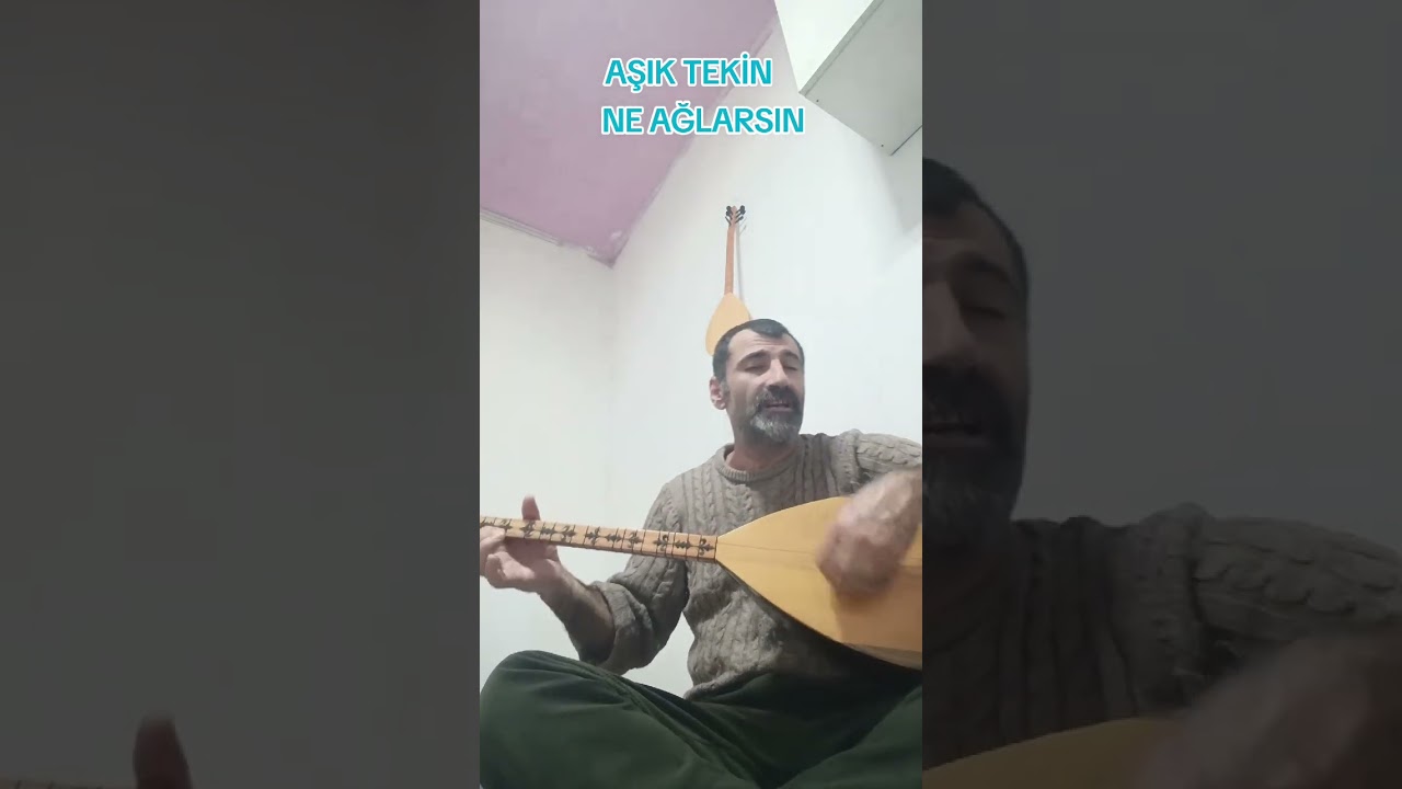 TEKİN KIZILKULA NE AĞLARSIN 