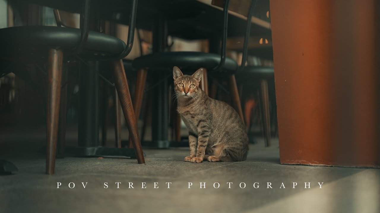 POV STREET PHOTOGRAPHY | SONY A7IV & SONY 50MM F1.2 G MASTER