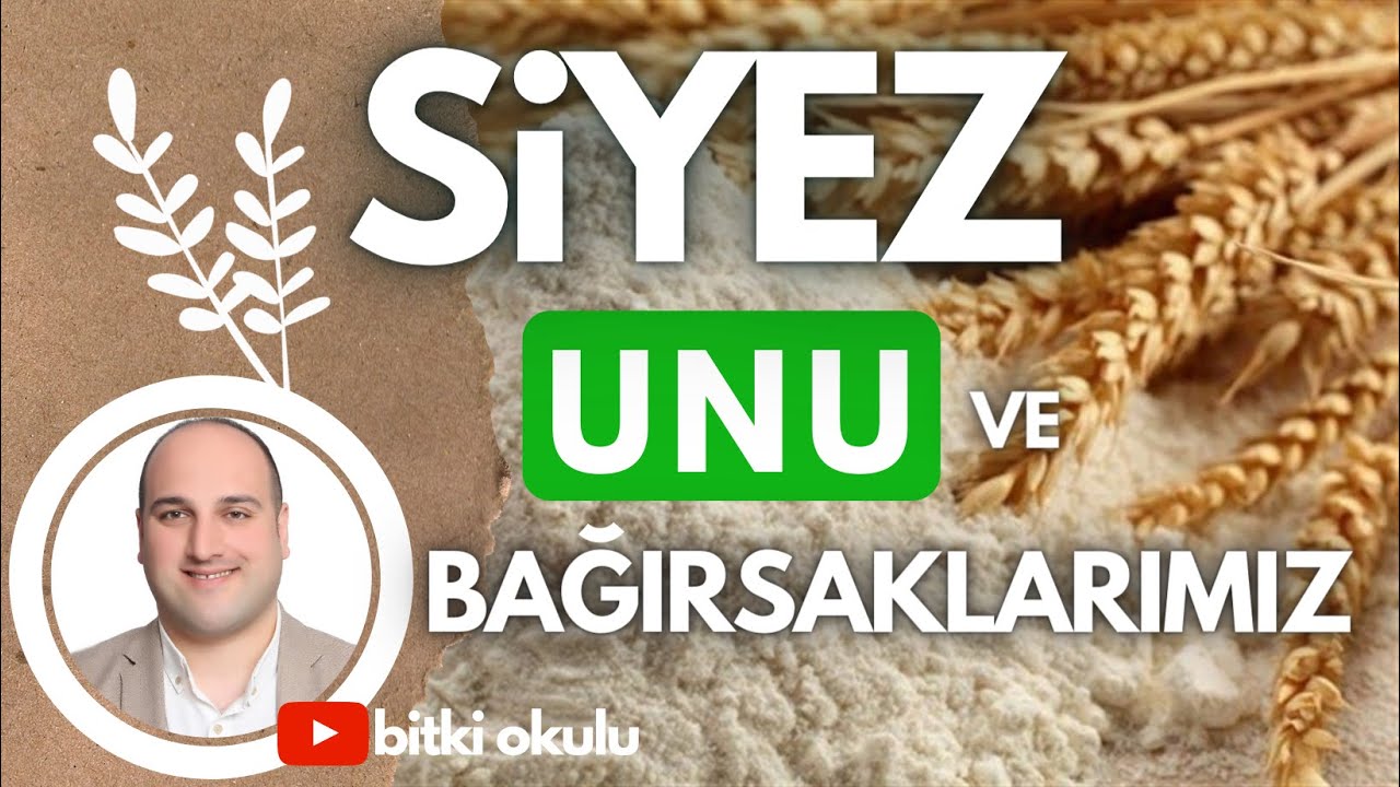 Bağırsak sağlığımızı nasıl koruruz? Siyez buğdayı nedir? Siyez unu faydaları nelerdir? #Siyezunu