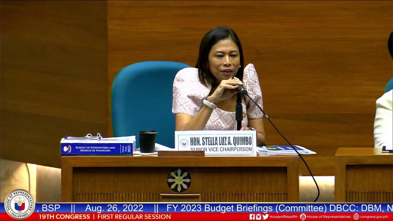 FY 2023 Budget Briefings (Committee) DBCC: DBM, NEDA,, DOF, BSP