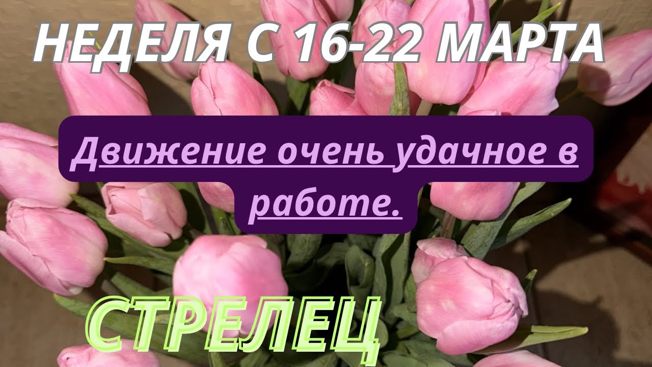 СТРЕЛЕЦ ♐️ ТАРО ПРОГНОЗ С 16-22 МАРТА/2026 от Alisa Belial.