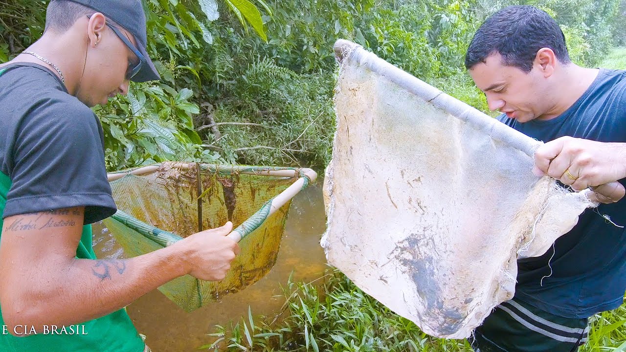 DESAFIO - QUEM PEGOU O MAIOR PEIXE ORNAMENTAL  - pegamos peixe lápis, copernia entre outros