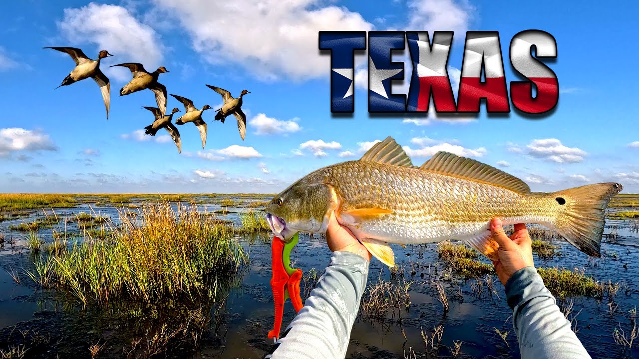 Scouting the Texas Marsh: Ducks, Redfish, and Wild Country