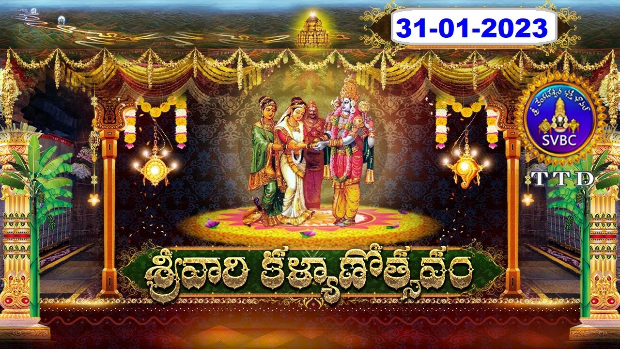 శ్రీవారి కళ్యాణోత్సవం || Srivari Kalyanotsavam || 31-01-2023 || SVBC TTD