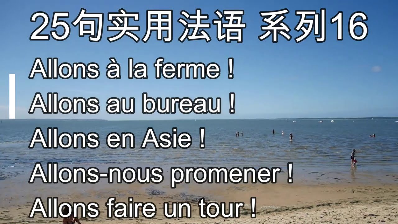 25句实用法语, 系列16, aller命令式第一人称复数的运用, 实用法语口语, 法语教学