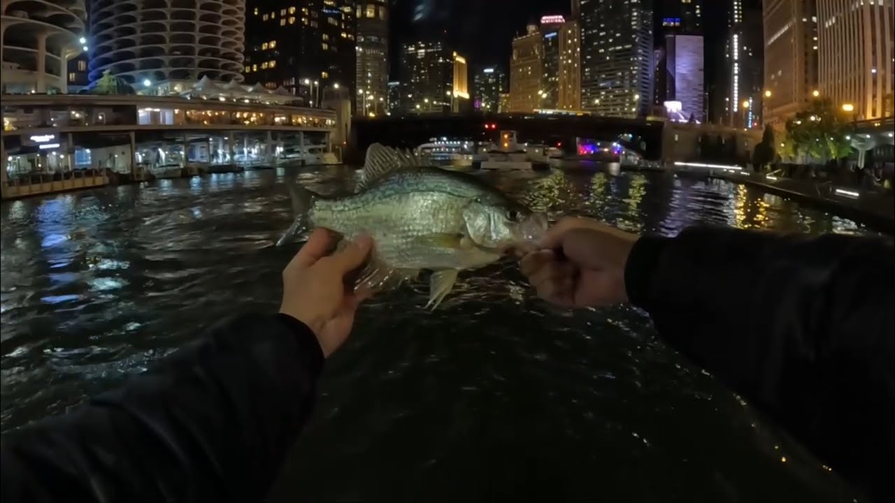 Night Fishing the Chicago Riverwalk