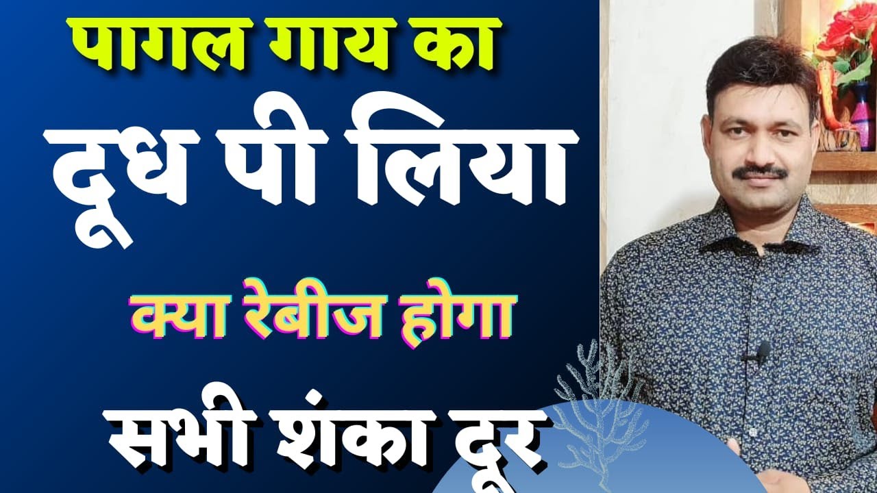 रेबीज बीमारी वाली पागल गाय का दूध पी लिया  Ramawat