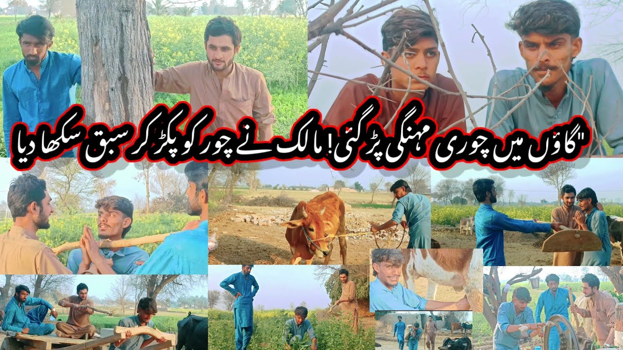 غلط جگہ چوری کر دی 😱  مالک نے رنگے ہاتھوں پکڑ لیا | انجام دیکھ کر حیران رہ جائیں گے!