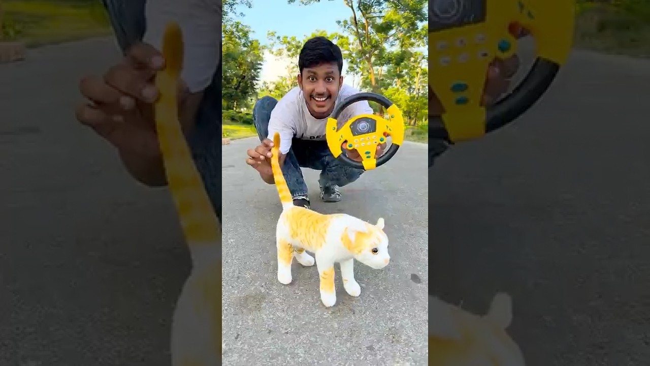 Распаковка пульта дистанционного управления Standing Cat Soft Sara