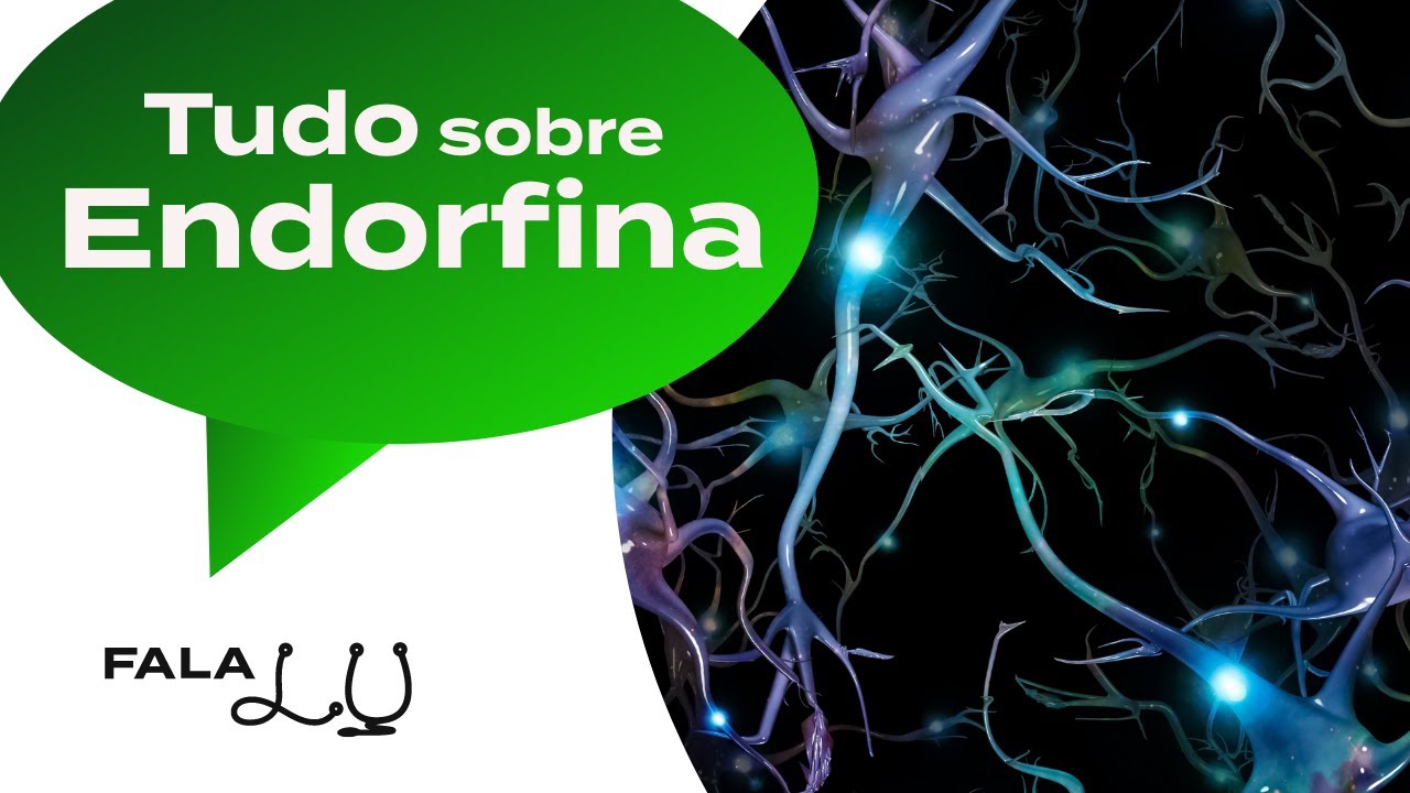 E A GENTE ACHANDO QUE ERA ENDORFINA | Tudo sobre a ação da atividade física no nosso cérebro