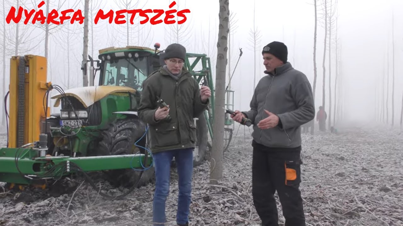 Metszőolló birodalomban a Volpi és az Alpen ollók, valamint a Japán Echo DCS 2500TC láncfűrész teszt