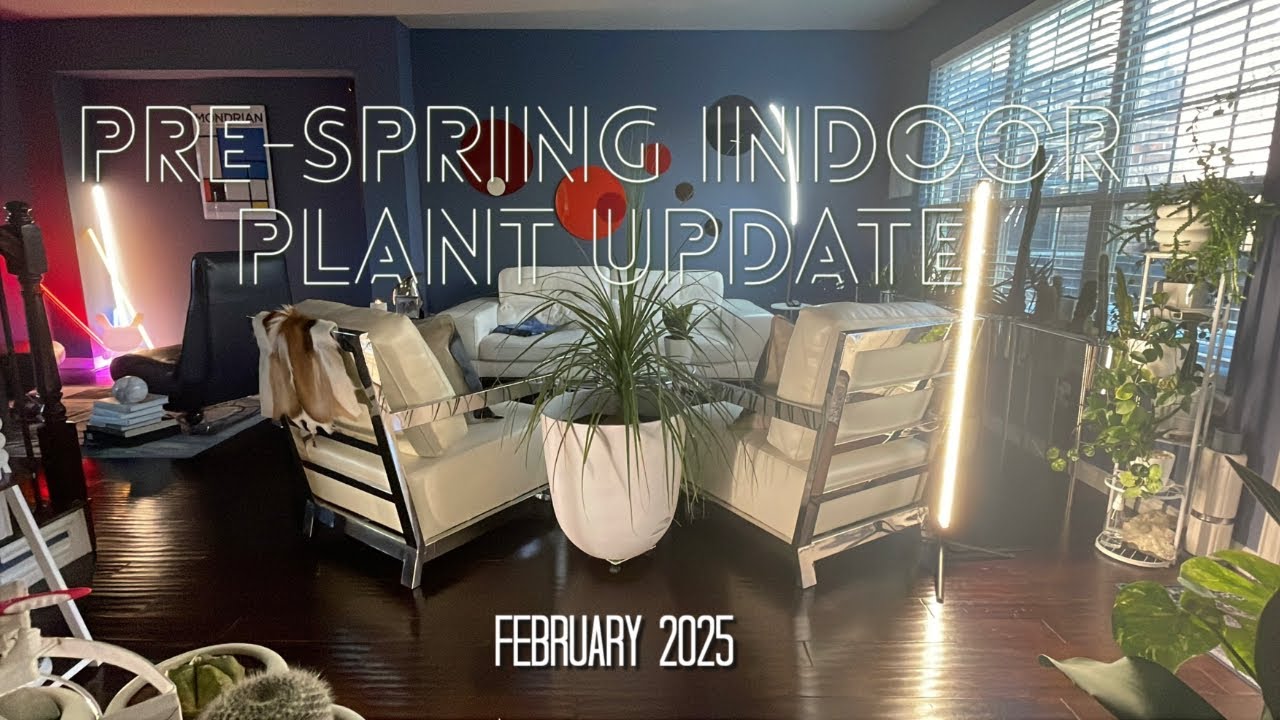 426: Pre-Spring Indoor Plant Update! Plus Recent Plant Decor Buys & Plant Art and More!