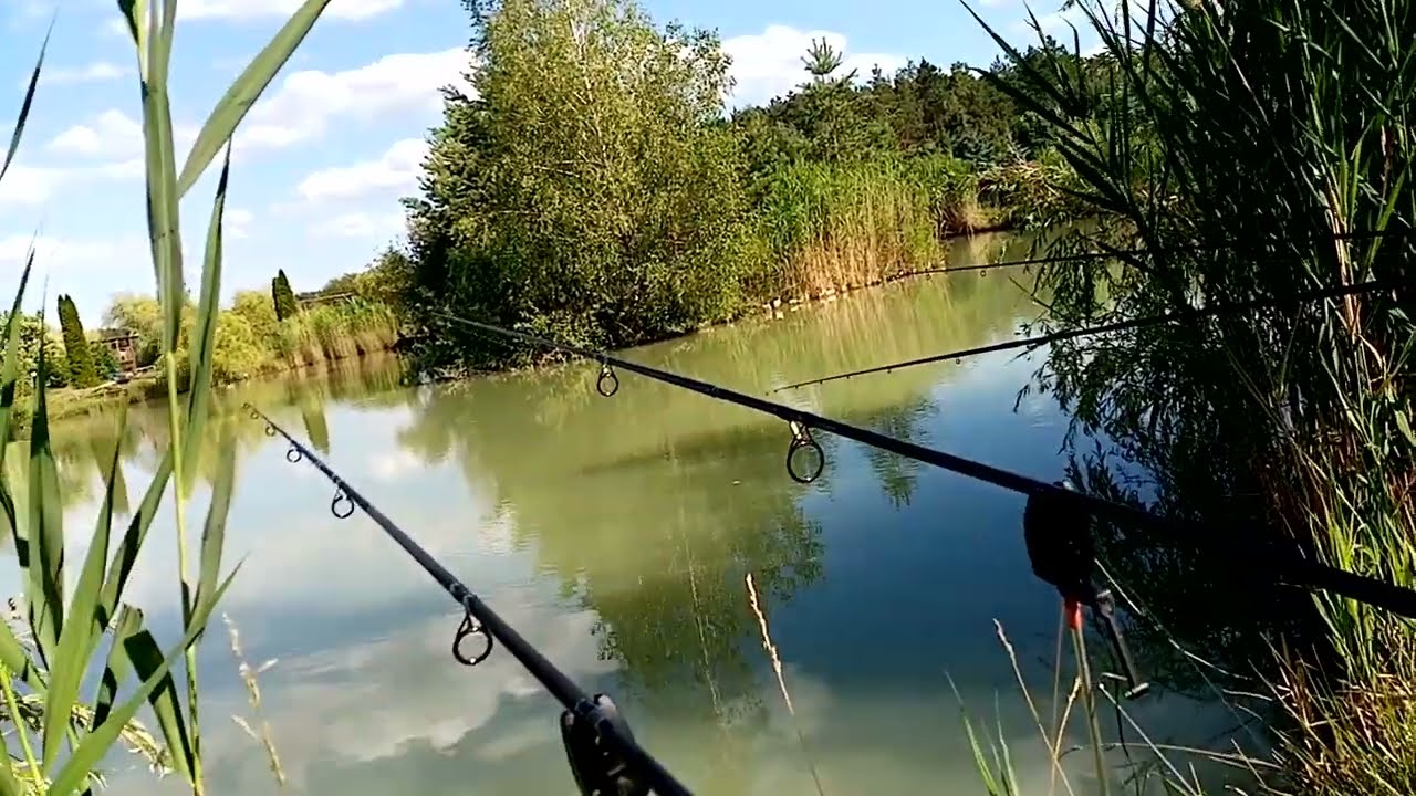 Ryby na Fish Camp Ownice