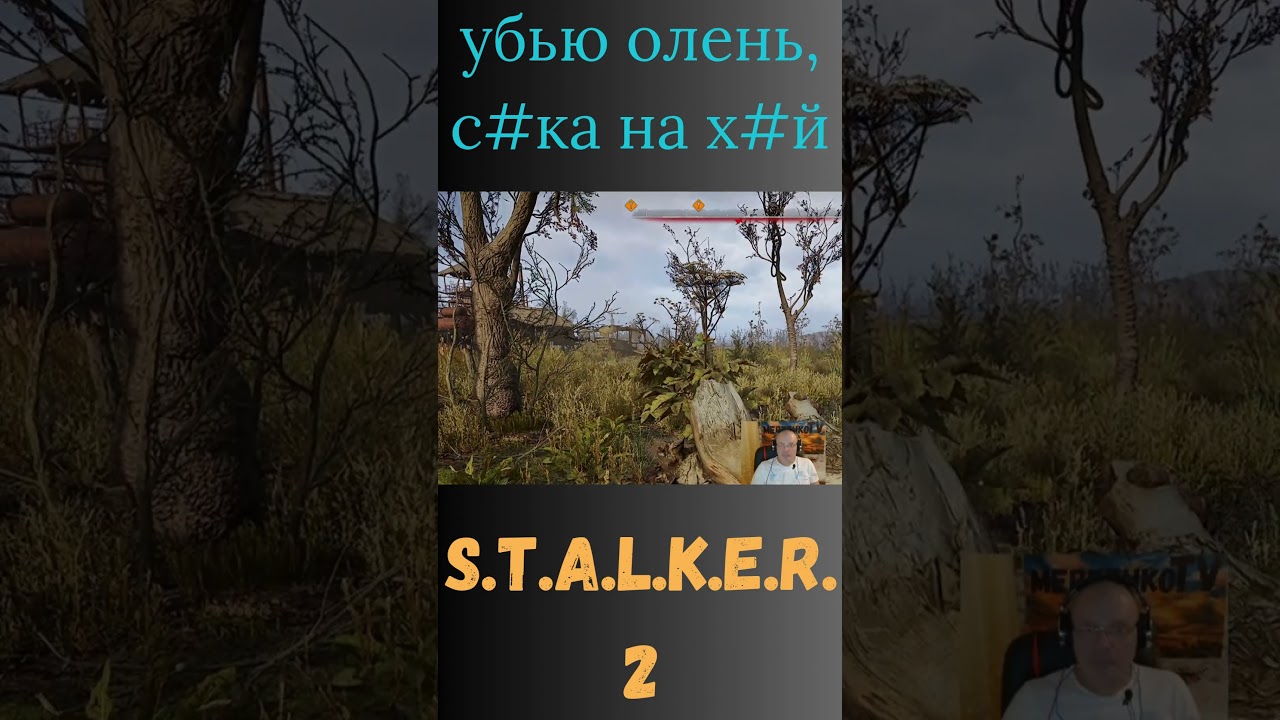 #убью #STALKER2 #HeartofChornobyl #yutubeshorts #shortsvideo #gaming #игры #hd #shortsviral #shorts