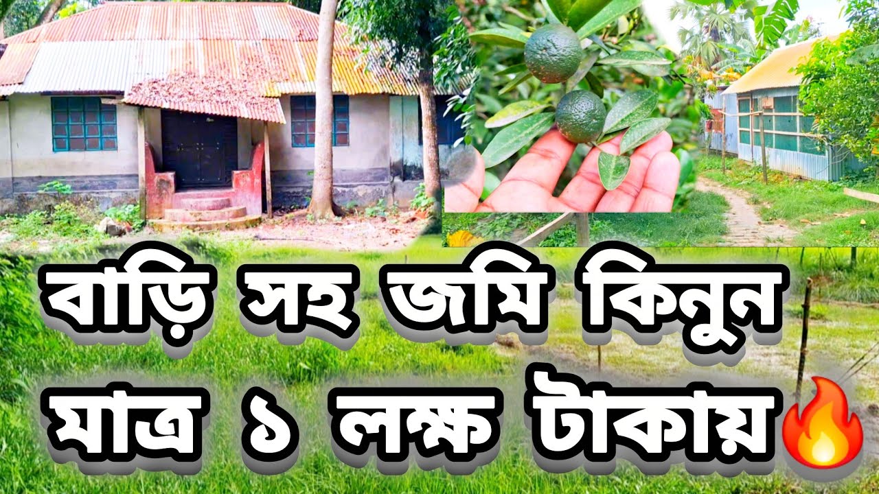 অবিশ্বাস্য দামে মাত্র ১ লক্ষ টাকায় বাড়ি সহ ৩০ শতাংশ জমি!